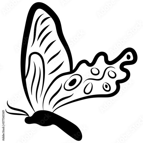 Butterfly Shape