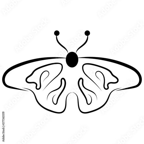 Butterfly Shape