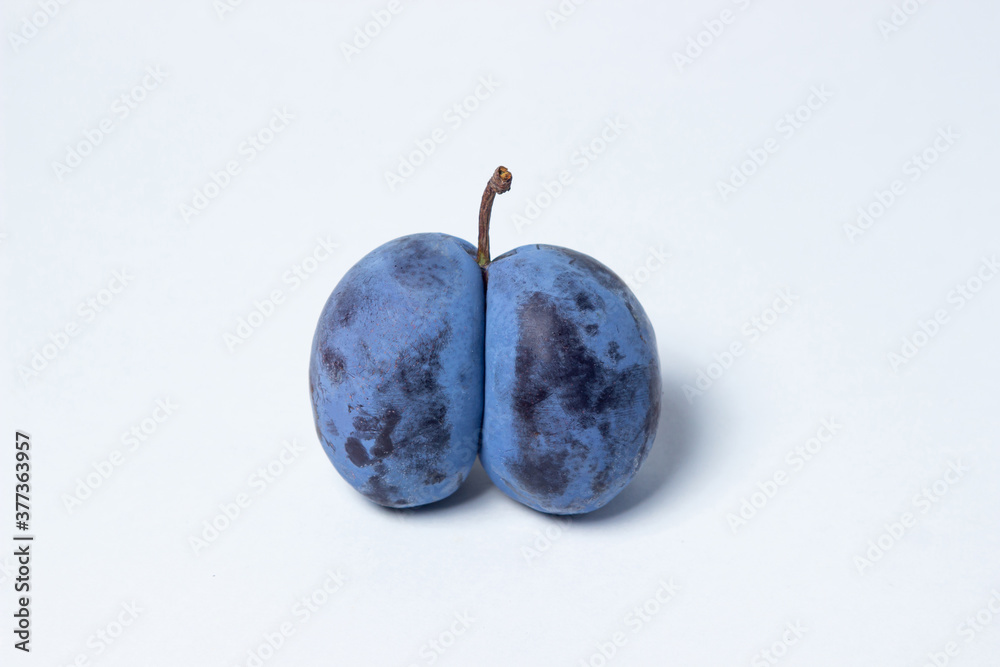 Plum on a white background. One blue plum in the middle of the frame. Healthy fruits.