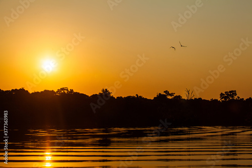 Sunrise on Amazon forest river © Alex