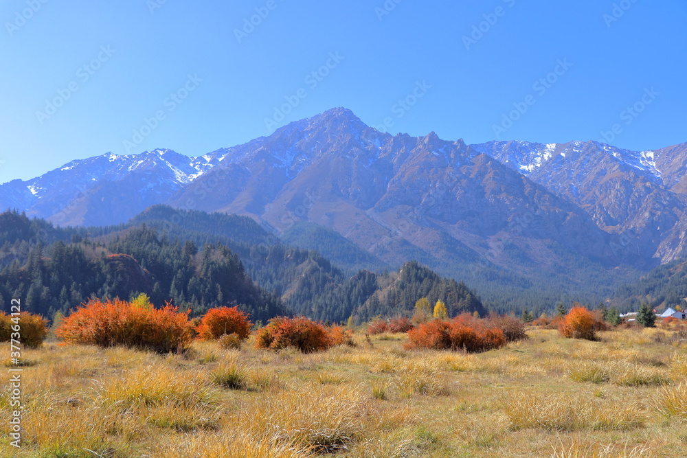 Autumn foliage in a backdrop of snow-covered Qilian Mountains in the area of Mati Temple Grottoes, one of the stops along silk road in the city of Zhangye, Gansu province, western China.