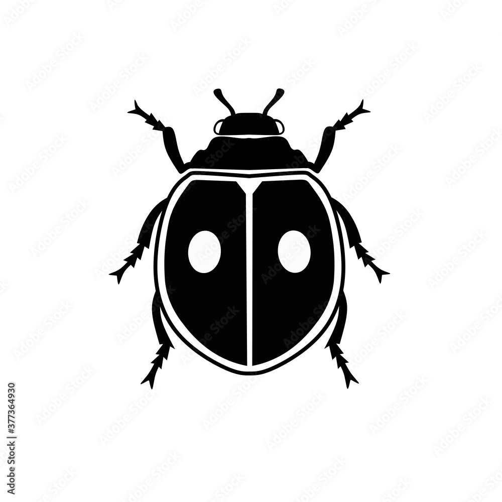ladybird illustration ladybird illustration