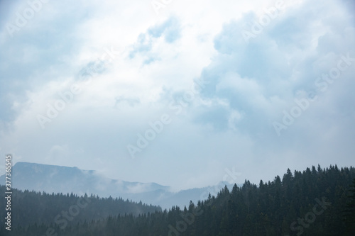 Forests in fog after rain, atmospheric photo of nature in montenegro