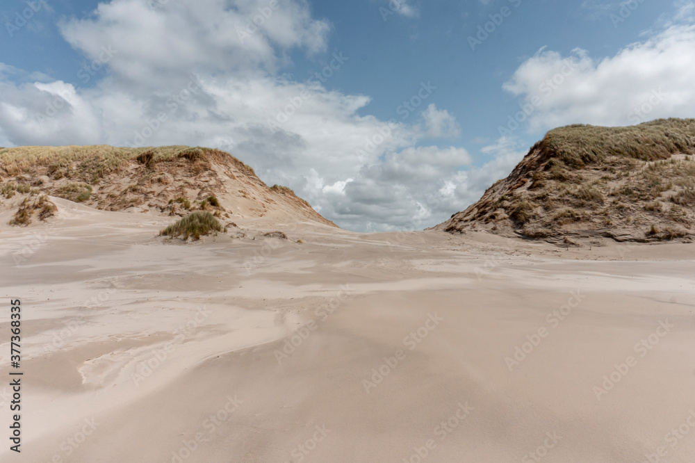 Sand dunes on the beach, Terschelling, The Netherlands