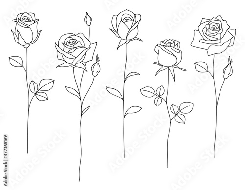 Set of decorative hand drawn roses isolated on white. Flower icon. Vector illustration photo