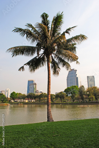 Palm in Lumphini park in Bangkok and city view © LifeAsTraveling