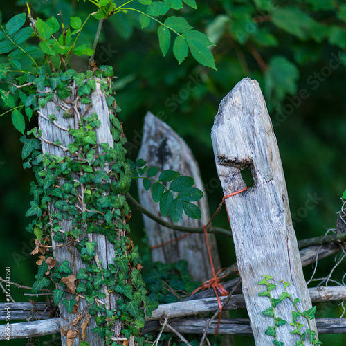 Wooden fence in Aller council, Asturias, Spain, Europe