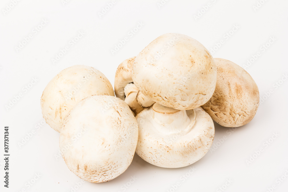 Fresh Champignon mushroom, isolated on white background. Close-up Fresh Champignon mushroom, isolated on white background. Close-up
