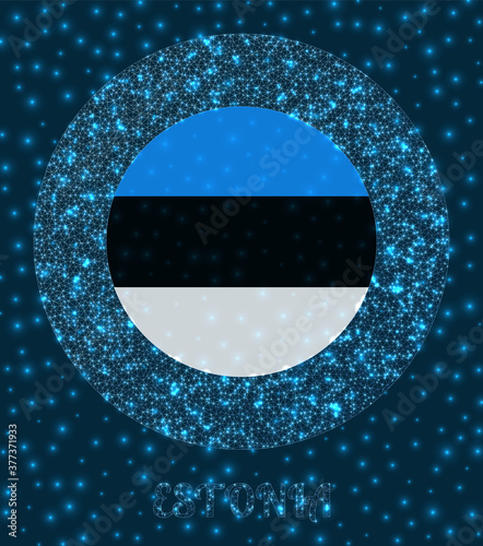 Round Estonia badge. Flag of Estonia in glowing network mesh style. Country network logo. Artistic vector illustration.