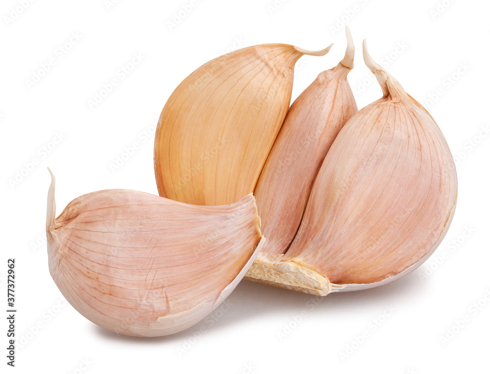 Obraz premium garlic on white
