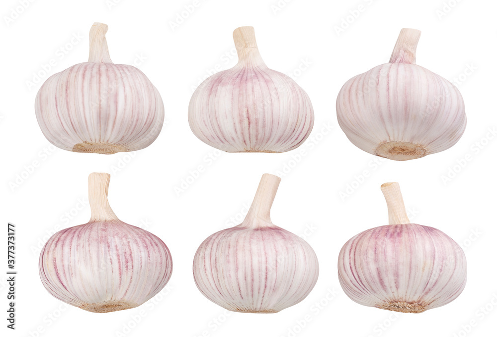 garlic on white garlic on white