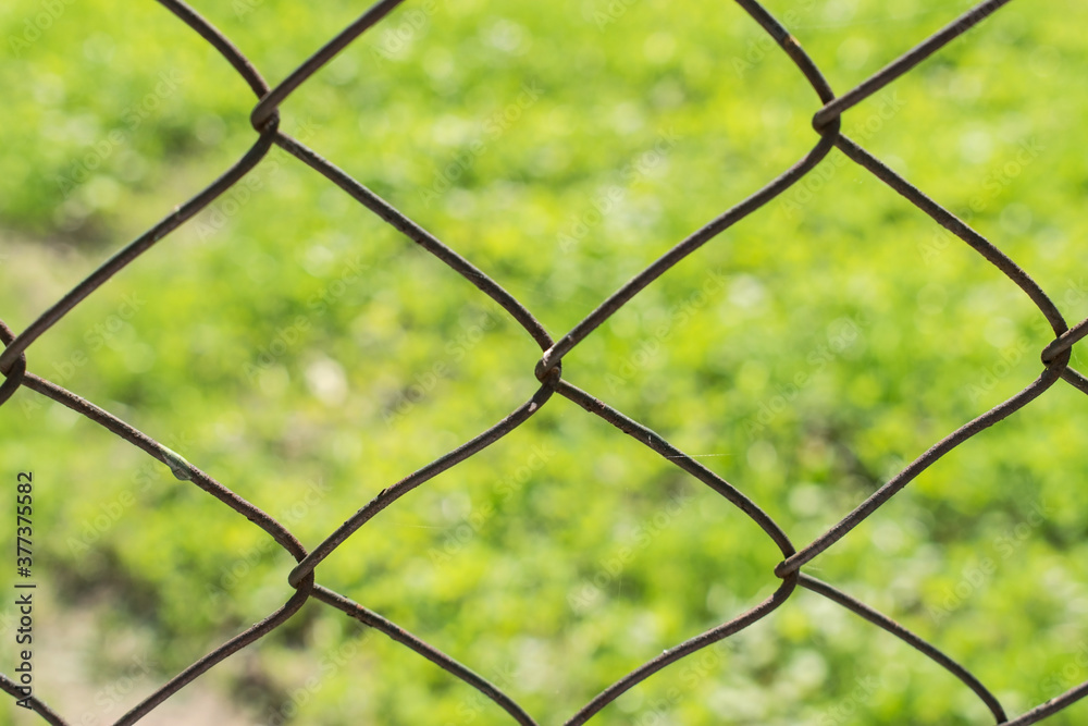 Wire fence with green grass in the sun in the background