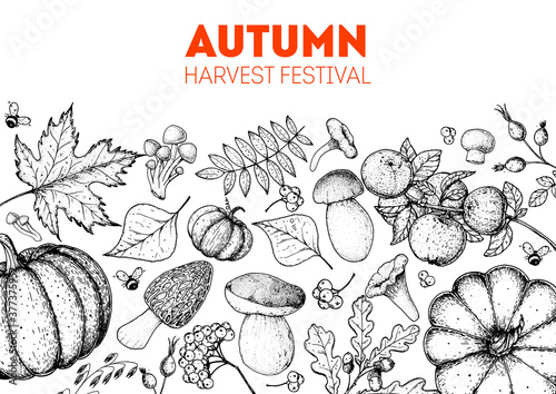 Harvest festival. Hello autumn sketch illustration. Hand drawn frame with fall leaves, pumpkins. Vector illustration. Thanksgiving design template. Sketch design.