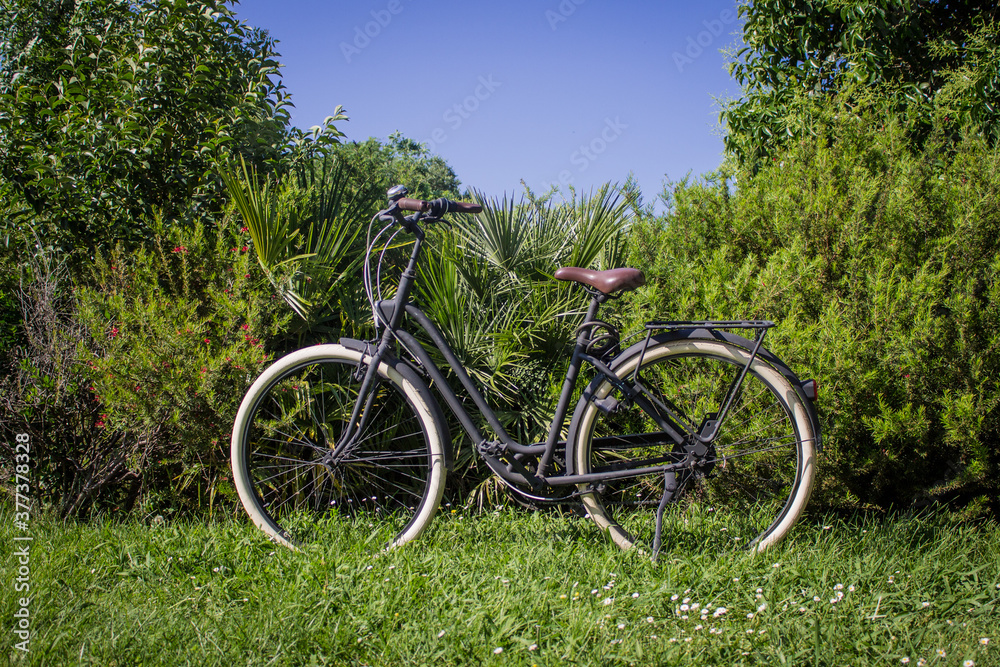 Retro Bicycle in a Beautiful Nature background 