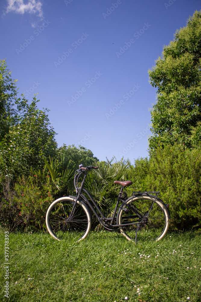 Retro Bicycle in a Beautiful Nature background 