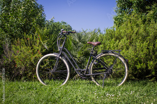 Retro Bicycle in a Beautiful Nature background 