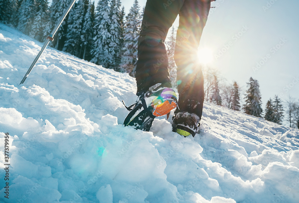 Close up shot of mountain boots with crampons and snow gaiters with  backlight sun beams and