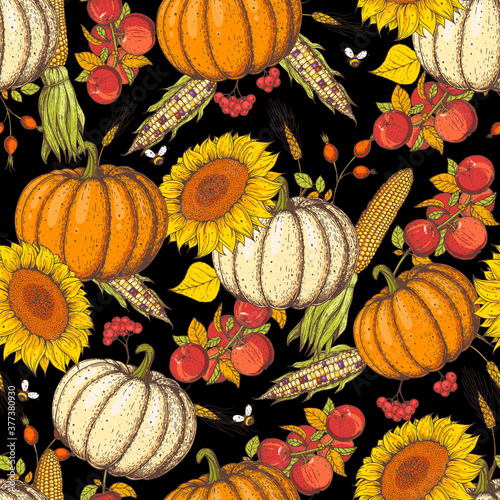 Cool design with sunflower, corn, apples and pumpkin. Pumpkin and autumn harvest seamless pattern. Hand drawn background. Colorful vector illustration.