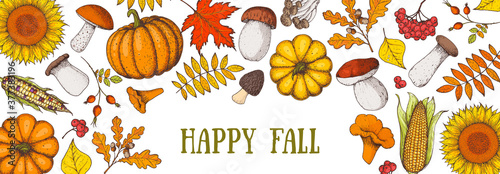 Hello autumn illustration. Autumn harvest. Hand drawn frame with fall leaves, pumpkins, mushrooms, sunflower. Vector illustration. Thanksgiving design template. Sketch design.