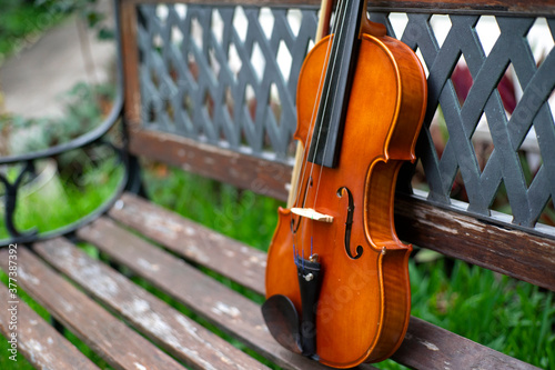 String instrument classical music brown violin outdoor at day