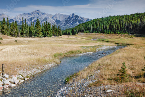 mountain stream flowing through meadow in mountains