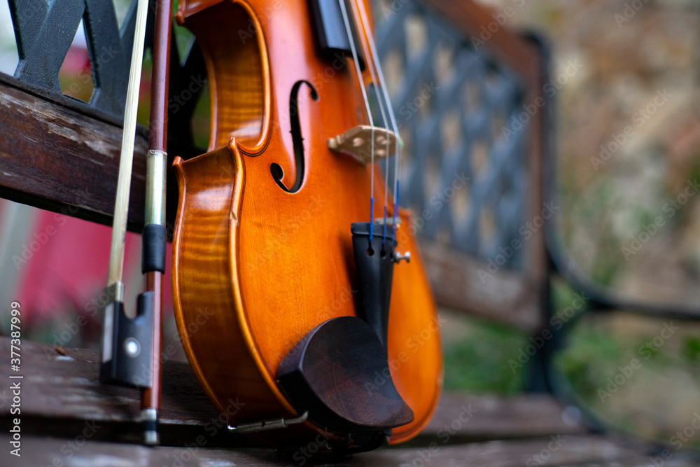String instrument classical music brown violin outdoor at day String instrument classical music brown violin outdoor at day