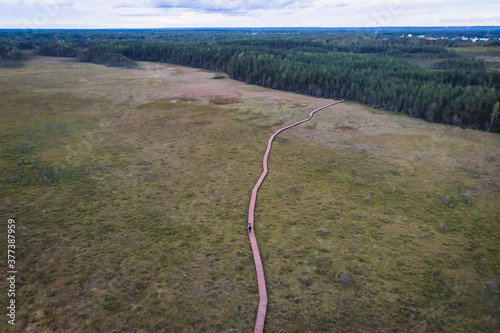 Summer view of wooden walkway on the territory of Sestroretsk swamp, ecological trail path - route walkways laid in the swamp, reserve 