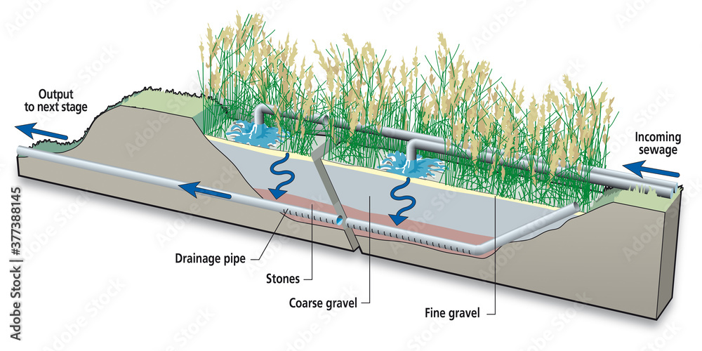 Épuration des eaux - Principe du lagunage GB