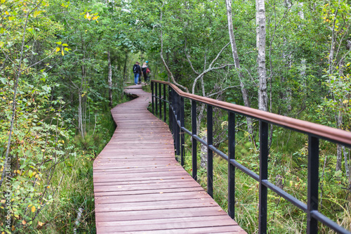 Summer view of wooden walkway on the territory of Sestroretsk swamp, ecological trail path - route walkways laid in the swamp, reserve 