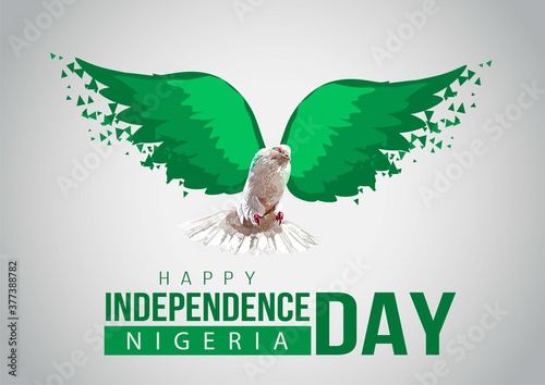 1st October Nigeria Independence Day.  pigeon flying with Nigerian flag wings concept. vector illustration
