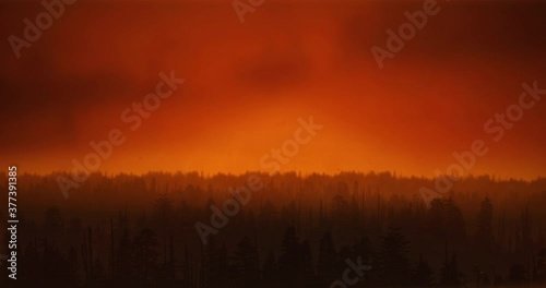 View of a burning forest in the city of California. Fires in the USA, California. Global climate change. Night forest on Fire.