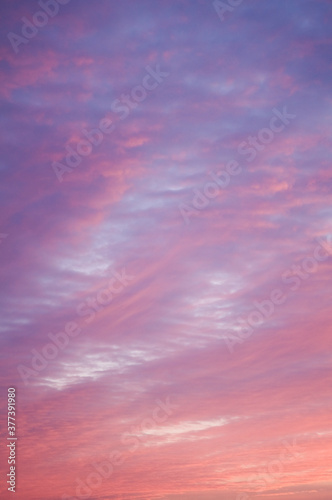 Принти на полотні Beautiful pink sky background