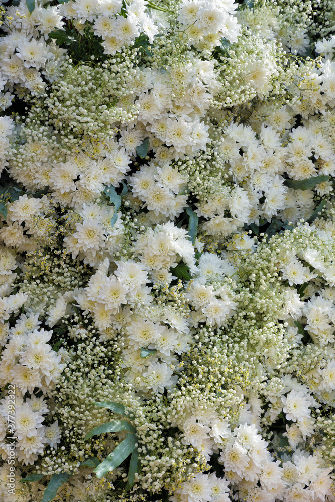 Flower arrangement with chrysanthemums.