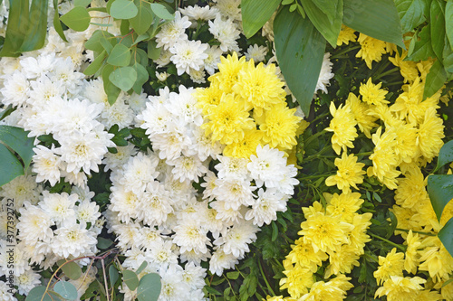 Obraz na płótnie Flower arrangement with chrysanthemums. w salonie
