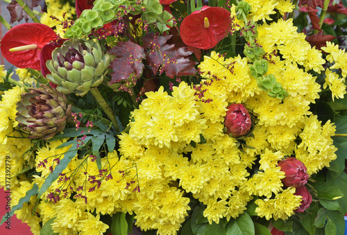 Obraz na płótnie Flower arrangement with chrysanthemums. w salonie