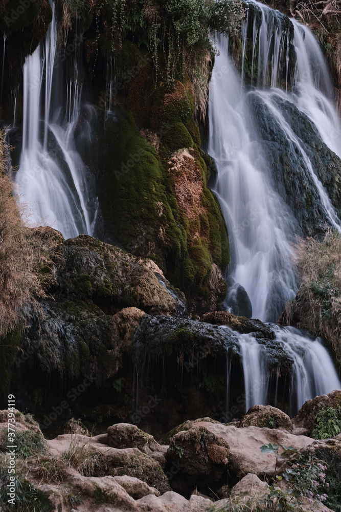 Fototapeta premium waterfall in the forest