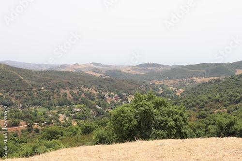 Rural
