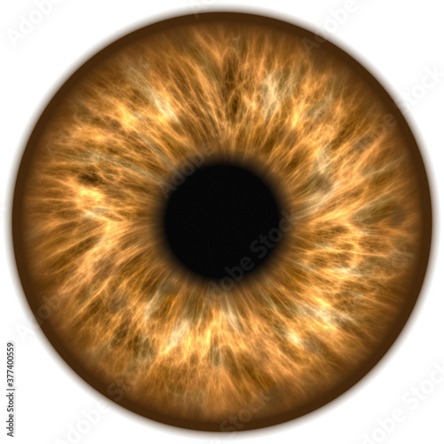 brown eye iris pupil