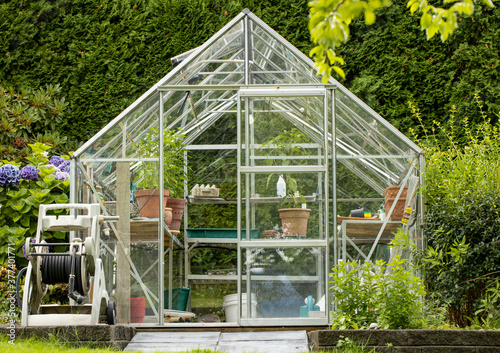 Backyard greenhouse with plants in terra cotta pots © Sharon