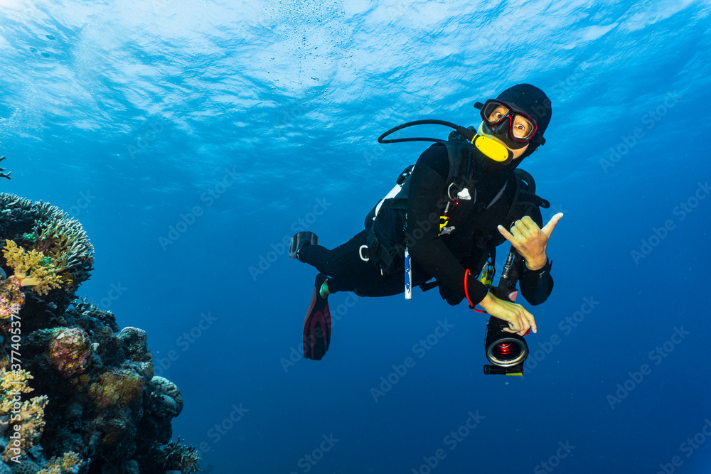diver exploring the Great Barrie Reef diver exploring the Great Barrie Reef