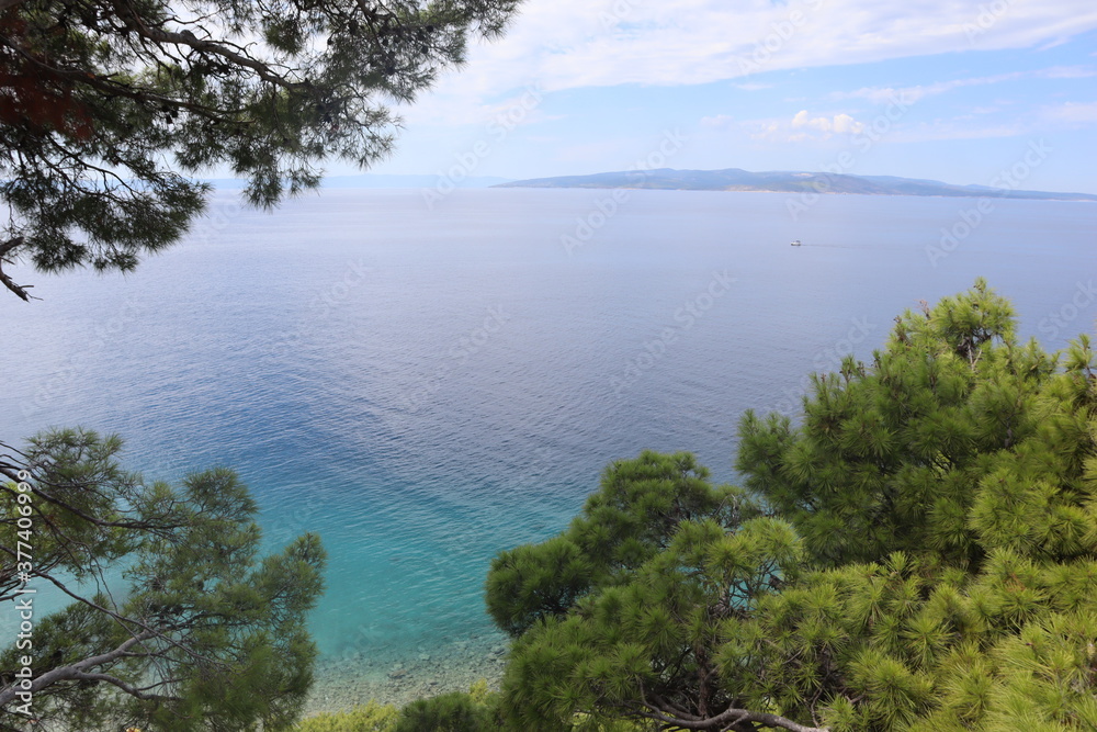 Seascape pine trees and sea on the coast of Croatia. View of the clear turquoise sea, green pine trees and an island on the horizon on a sunny day