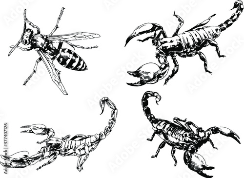 vector drawings sketches different insects bugs Scorpions spiders drawn in ink by hand , objects with no background