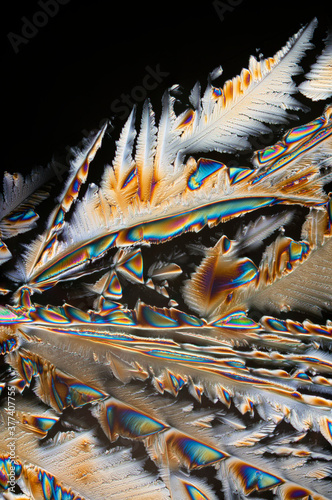 Crystalized citric acid under polarized light