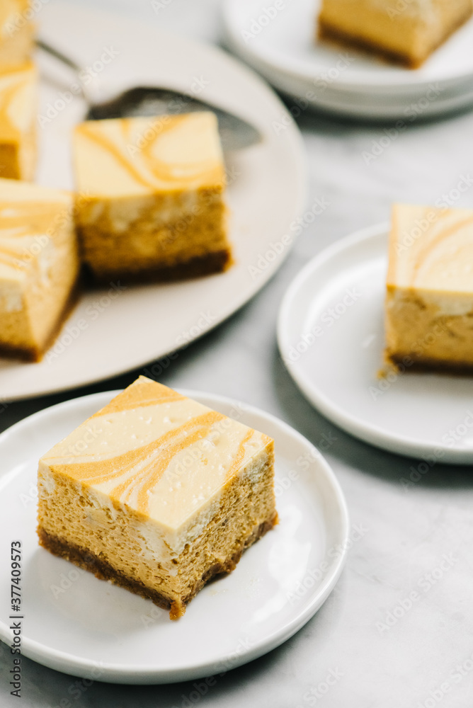 Pumpkin Cheesecake Bars Closeup Pumpkin Cheesecake Bars Closeup