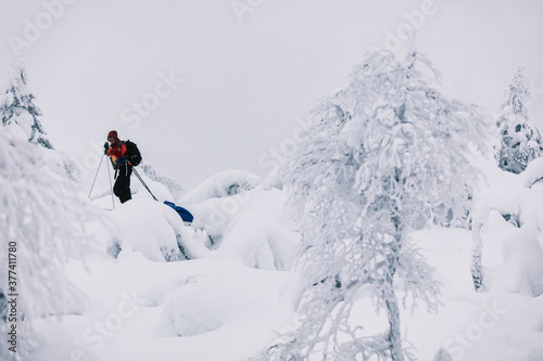 Winter Exploration in Magic Snowland photo