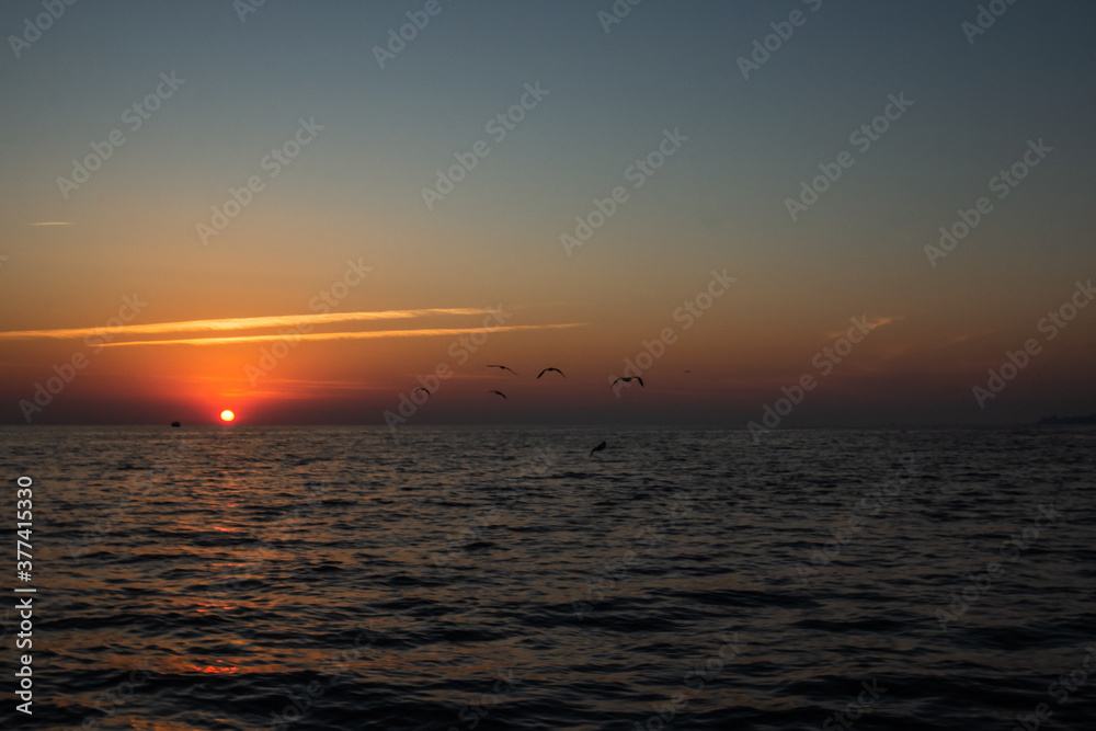 seagulls over the sea sunset. Sochi Krasnodar territory