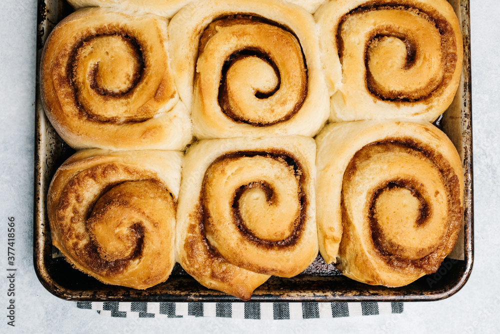 Hot cinnamon rolls fresh out of the oven Hot cinnamon rolls fresh out of the oven