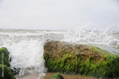 Kamień, Fale, Glony, Glony na kamieniu, Morze, Wzburzone fale, Plaża