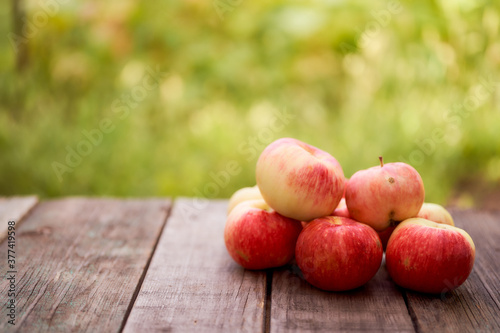 Red apples lie on a wooden board with dry spikes. Green blurred background