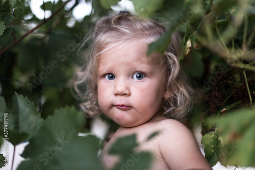 Wallpaper Mural portrait petite fille blonde dans les vignes Torontodigital.ca